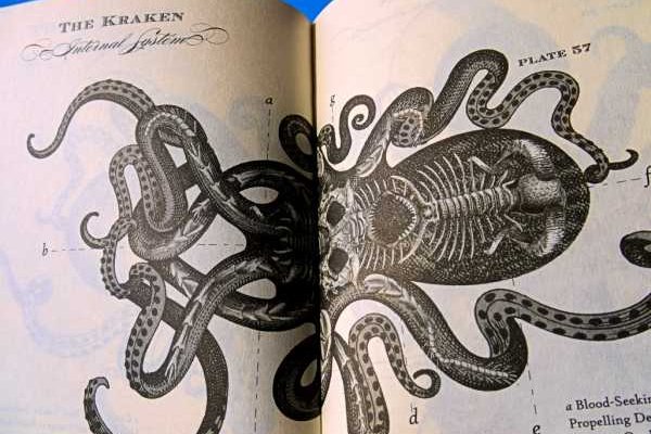 Kraken сайт вход