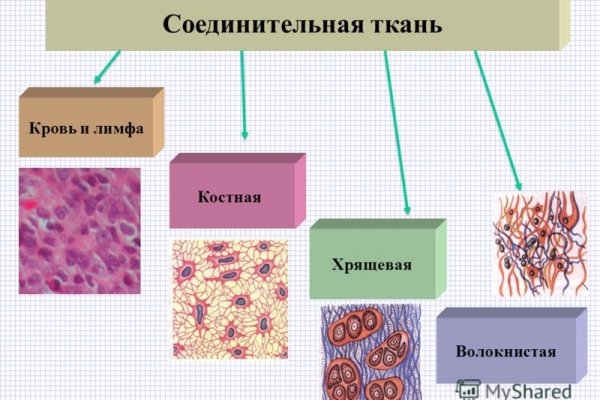 Мега кракен